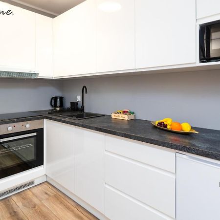 Wonder Home - Apartamenty W Sercu Karpacza, Blisko Deptaka I Terenow Zielonych Kültér fotó